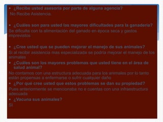  ¿Recibe usted asesoría por parte de alguna agencia?
No Recibe Asistencia.
 ¿Cuáles son para usted las mayores dificultades para la ganadería?
Se dificulta con la alimentación del ganado en época seca y gastos
imprevistos
 ¿Cree usted que se pueden mejorar el manejo de sus animales?
Si al recibir asistencia mas especializada se podría mejorar el manejo de los
animales
 ¿Cuáles son los mayores problemas que usted tiene en el área de
salud animal?
No contamos con una estructura adecuada para los animales por lo tanto
están propensas a enfermarse o sufrir cualquier daño
 ¿Por qué cree usted que estos problemas se dan su propiedad?
Pues anteriormente se mencionaba no e cuentas con una infraestructura
adecuada
 ¿Vacuna sus animales?
SI
 