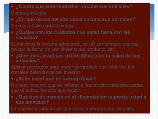  ¿Contra qué enfermedad en vacuna sus animales?
Contra parásitos
 ¿En qué época del año usted vacuna sus animales?
2 veces al año cada 3 meses
 ¿Cuáles son los cuidados que usted tiene con las
vacunas?
Suministrar la vacuna adecuada, no utilizar jeringas usadas,
revisar la fecha de vencimiento del producto, etc.
 ¿Qué otras prácticas usted utiliza para la salud de sus
animales?
Aplicar productos para matar garrapatas que están en los
corrales defenderlos del invierno
 ¿Sabe usted que es bioseguridad?
No pero imagino que se refieres a las condiciones adecuadas
que el animal tendría que recibir
 ¿Qué tipo de manejo en el alimentación le presta usted a
sus animales?
La higiene y cuidado de que no se enfermen los animales
 
