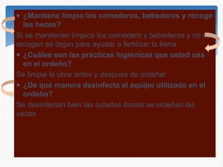  ¿Mantiene limpio los comederos, bebederos y recoge
las heces?
Si se mantienen limpios los comedero y bebederos y no se
recogen se dejan para ayudar a fertilizar la tierra
 ¿Cuáles son las prácticas higiénicas que usted usa
en el ordeño?
Se limpia la ubre antes y después de ordeñar
 ¿De qué manera desinfecta el equipo utilizado en el
ordeño?
Se desinfectan bien las cubetas donde se ordeñan las
vacas
 