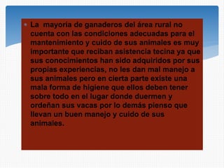  La mayoría de ganaderos del área rural no
cuenta con las condiciones adecuadas para el
mantenimiento y cuido de sus animales es muy
importante que reciban asistencia tecina ya que
sus conocimientos han sido adquiridos por sus
propias experiencias, no les dan mal manejo a
sus animales pero en cierta parte existe una
mala forma de higiene que ellos deben tener
sobre todo en el lugar donde duermen y
ordeñan sus vacas por lo demás pienso que
llevan un buen manejo y cuido de sus
animales.
 
