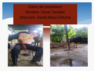 Datos del propietario
Nombre: Oscar Canales
Dirección: Santa Maria Ostuma
 
