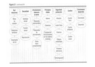 Diagnosticos de enfermeria nanda