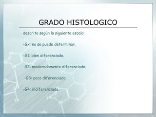 GRADO HISTOLOGICO
descrito según la siguiente escala:
-Gx: no se puede determinar.
-G1: bien diferenciado.
-G2: moderadamente diferenciado.
-G3: poco diferenciado.
-G4: indiferenciado.
 