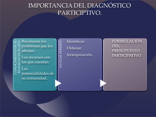CONOCIMIENTO
DE
SU
REALIDAD
EN
EL
QUE:
Reconocen los
problemas que les
afectan.
Los recursos con
los que cuentan.
Las
potencialidades de
su comunidad.
LO
CUAL
PERMITE:
Identificar.
Ordenar.
Jerarquización.
FORMULACIÓN
DEL
PRESUPUESTO
PARTICIPATIVO.
IMPORTANCIA DEL DIAGNÓSTICO
PARTICIPTIVO.
 