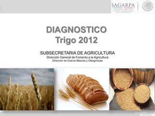 Noviembre, 2012
DIAGNOSTICO
Trigo 2012
SUBSECRETARIA DE AGRICULTURA
Dirección General de Fomento a la Agricultura
Dirección de Granos Básicos y Oleaginosas
 