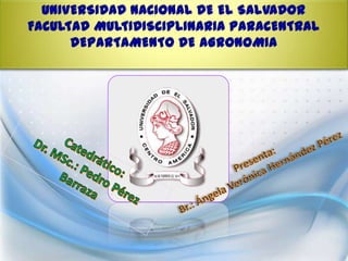 UNIVERSIDAD NACIONAL DE EL SALVADOR
FACULTAD MULTIDISCIPLINARIA PARACENTRAL
DEPARTAMENTO DE AGRONOMIA

 