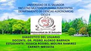 UNIVERSIDAD DE EL SALVADOR
FACULTAD MULTIDISCIPLINARIA PARACENTRA
DEPARTAMENTO DE CIENCIAS AGRONOMICAS
CICLO II
DIAGOSTICO DEL USUARIO
DOCENTE. DR. PEDRO ALONSO BARRAZA
ESTUDIANTE: YESSICA ROSIBEL MOLINA RAMIREZ
CARNET: MR16156
 