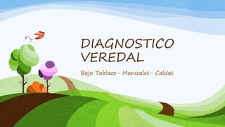 DIAGNOSTICO
VEREDAL
Bajo Tablazo- Manizales- Caldas
 