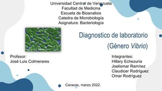 Diagnostico de laboratorio
(Género Vibrio)
Universidad Central de Venezuela
Facultad de Medicina
Escuela de Bioanalisis
Catedra de Microbiología
Asignatura: Bacteriología
Profesor:
José Luis Colmerares
Integrantes:
Hillary Echezuria
Joelismar Ramírez
Claudicer Rodríguez
Omar Rodríguez
Caracas, marzo 2022.
 