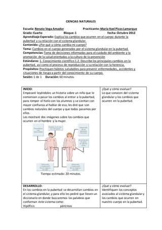CIENCIAS NATURALES 
Escuela: Renato Vega Amador Practicante: María Itzel Picos Lamarque 
Grado: Cuarto Bloque: 1 Fecha: Octubre 2012 
Aprendizaje Esperado: Explica los cambios que ocurren en el cuerpo durante la 
pubertad y su relación con el sistema glandular. 
Contenido: ¿Por qué y cómo cambia mi cuerpo? 
Tema: Cambios en el cuerpo generados por el sistema glandular en la pubertad. 
Competencias: Toma de decisiones informadas para el cuidado del ambiente y la 
promoción de la salud orientadas a la cultura de la prevención 
Estándares: 1. Conocimiento científico 1.2. Describe los principales cambios en la 
pubertad, así como el proceso de reproducción y su relación con la herencia. 
Propósitos: Practiquen hábitos saludables para prevenir enfermedades, accidentes y 
situaciones de riesgo a partir del conocimiento de su cuerpo. 
Sesión: 1 de 1 Duración: 60 minutos. 
INICIO: 
Empezaré leyéndoles un historia sobre un niño que le 
comienzan a pasar los cambios al entrar a la pubertad, 
para romper el hielo con los alumnos y se sientan con 
mayor confianza al hablar de eso, les diré que son 
cambios naturales del cuerpo y que todos pasamos por 
ellos. 
Les mostraré dos imágenes sobre los cambios que 
ocurren en el hombre y la mujer. 
Tiempo estimado: 20 minutos. 
¿Qué y cómo evaluar? 
Lo que conocen del sistema 
glandular y los cambios que 
ocurren en la pubertad. 
DESARROLLO: 
En los cambios en la pubertad se desarrollan cambios en 
el sistema glandular, y para ello les pediré que lleven un 
diccionario en donde buscaremos las palabras que 
conforman éste sistema como: 
Hipófisis páncreas 
¿Qué y cómo evaluar? 
Identifiquen los conceptos 
asociados al sistema glandular y 
los cambios que ocurren en 
nuestro cuerpo en la pubertad. 
 