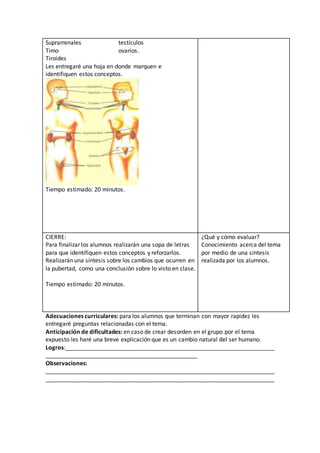 Suprarrenales testículos 
Timo ovarios. 
Tiroides 
Les entregaré una hoja en donde marquen e 
identifiquen estos conceptos. 
Tiempo estimado: 20 minutos. 
CIERRE: 
Para finalizar los alumnos realizarán una sopa de letras 
para que identifiquen estos conceptos y reforzarlos. 
Realizarán una síntesis sobre los cambios que ocurren en 
la pubertad, como una conclusión sobre lo visto en clase. 
Tiempo estimado: 20 minutos. 
¿Qué y cómo evaluar? 
Conocimiento acerca del tema 
por medio de una síntesis 
realizada por los alumnos. 
Adecuaciones curriculares: para los alumnos que terminan con mayor rapidez les 
entregaré preguntas relacionadas con el tema. 
Anticipación de dificultades: en caso de crear desorden en el grupo por el tema 
expuesto les haré una breve explicación que es un cambio natural del ser humano. 
Logros:_________________________________________________________________ 
_______________________________________________ 
Observaciones: 
_______________________________________________________________________ 
_______________________________________________________________________ 
 