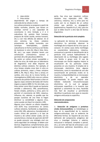 Diagnóstico Virológico  

3 

2. cepa celular  
3. línea celular  
dependiendo  del  origen  y  tiempo  de 
sobrevida de las células in vitro.  
Los cultivos primarios se preparan a partir de 
tejidos  normales,  jóvenes,  que  tienen  un 
cariotipo  normal  y  una  capacidad  de 
crecimiento  in  vitro  limitada  a  2  ó  3 
subcultivos  (Ej:  pulmón  fetal  humano, 
prepucio  de  recién  nacido,  amnios  humano, 
etc.)  y  son  más  difíciles  de  obtener.  En  el 
otro  extremo,  las  líneas  celulares 
provenientes  de  tejidos  tumorales,  con 
cariotipos 
heteroploides, 
pueden 
subcultivarse en forma contínua y son fáciles 
de  mantener  in  vitro  (Ej:  HEp‐2,  Hela,  Vero, 
RK,  etc.).  Las  cepas  celulares  tienen  una 
constitución  cromosómica  normal  y 
permiten 20 a 50 subcultivos (MCR‐5).  
No  existe  un  cultivo  celular  susceptible  a 
todos los virus, de modo que un laboratorio 
de  diagnóstico  viral  debe  disponer  de 
distintos  cultivos  celulares.  Por  ejemplo,  el 
virus  herpes  simplex  crece  bien  in  vitro  en 
cultivos  primarios,  cepas  y  líneas  celulares 
(MRC‐5,  RK,  HEp‐2,  HeLa,  Vero  u  otras);  en 
cambio,  otro  virus  de  la  misma  familia,  el 
citomegalovirus (CMV) sólo crece en cultivos 
primarios de pulmón fetal humano o bien en 
algunas cepas celulares derivadas del mismo 
órgano y especie (MRC‐5). Por otro lado, una 
línea celular como HEp‐2 puede ser bastante 
sensible  a  adenovirus,  VRS,  parainfluenza, 
herpes  simples,  poliovirus  y  otros,  pero  no 
permitir  el  crecimiento  de  CMV,  rotavirus, 
influenza,  etc;  además,  es  posible  que  los 
pasajes  sucesivos  de  una  línea  la  hagan 
disminuir  su  sensibilidad  a  algunos  virus, 
como sucede con Hep‐2 en relación a VRS.  
Algunos  virus  inducen  un  efecto  citopático 
viral  (ECP)  muy  característico  en  ciertos 
cultivos celulares, facilitando su diagnóstico, 
como HSV, VRS, adenovirus. Considerando el 
cuadro  clínico  del  paciente  y  el  tipo  de 
muestra  y  de  cultivo  celular  usado,  con  las 
características y tiempo de aparición del ECP 
se  puede  presumir  una  etiología  viral  con 
cierta seguridad. Sin embargo, se deben usar 
técnicas  diagnósticas  complementarias  para 
identificar o precisar el agente viral. Por otra 

parte,  hay  virus  que  requieren  cultivos 
celulares  muy  especiales  (HIV,  EBV, 
calicivirus,  rotavirus,  etc.)  y  otros  para  los 
cuales  aún  no  se  dispone  de  un  cultivo 
celular  que  permita  su  propagación 
(papilomavirus, hepatitis B y C, etc), para los 
que  se  debe  recurrir  a  otro  tipo  de  técnica 
diagnóstica.  
 
Detección de la partícula viral completa 
 
 La  aplicación  de  técnicas  de  microscopia 
electrónica  ha  permitido  observar  la 
morfología de la mayoría de los virus que se 
conocen.  En  ciertos  casos  dicha  morfología 
es  característica  (adenovirus,  rotavirus, 
coronavirus) y permite la identificación de la 
partícula  viral,  aunque  habitualmente  la 
observación  de  su  morfología  sólo  sugiere 
una  familia  o  grupo  viral.  El  uso  de 
microscopía  con  tinción  negativa  mejora  la 
visualización  de  las  partículas  virales 
presentes  en  una  muestra.  El  empleo  de  la 
microscopía  electrónica  tiene  algunas 
limitaciones,  como  la  necesidad  de  una  alta 
concentración  de  partículas  virales  en  la 
muestra, la disponibilidad de un microscopio 
electrónico 
y 
de 
un 
operador 
experimentado.  Se  puede  mejorar  este 
método  realizando  inmunomicroscopía 
electrónica,  en  la  cual  se  agregan 
anticuerpos  específicos  a  la  muestra  que 
aglutinan  y  concentran  los  virus,  haciendo 
más  fácil  de  visualizar  y  permitiendo 
identificar la partícula viral, pues la reacción 
antígeno‐anticuerpo es específica.  
 
Detección de componentes 
macromoleculares.  
 
1.‐  Detección  de  antígenos  o  proteínas 
virales  (inmunoanálisis).  La  metodología  se 
basa  en  la  especificidad  de  la  reacción 
antígeno‐anticuerpo,  que  se  evidencia  de 
diferentes  formas.  Se  requiere  de  una  clara 
definición  del  componente  antigénico  del 
virus  a  investigar  (interno  o  externo, 
estructural  o  temporal,  completo  o  parcial, 
etc.), así como del tipo de anticuerpo a usar 
(monoclonal,  policlonal,  biosintético,  etc.). 

Cátedra de Microbiología , Parasitología e Inmunología – Facultad de Medicina ‐ UNNE 

 

 
