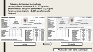 • Reducción de los recuentos totales de
microorganismos anaerobios (8,1 x 105) y de las
proporciones de patógenos periodontales (8,33% para
Porphyromonas gingivalis y 1,85% para Tannerella
forsythia).
Alumna: Sherelin Dana Alvarez Cusi
Antes Después
 