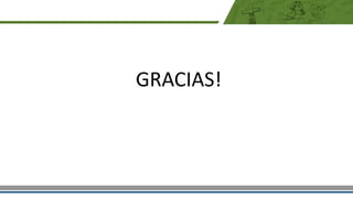 GRACIAS!
 