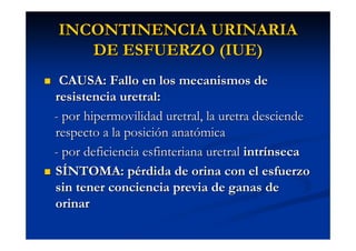 Incontinencia urinaria - Qué es, causas, tipos de incontinencia y
