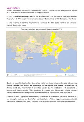 L’agriculture
Sources : Recensement Agricole 2010 ; France Agrimer ; Agreste - Enquête Structure des exploitations agricoles
(ESEA 2013 ; direction des Pêches maritimes et de l'Aquaculture 2012
En 2010, 706 exploitations agricoles ont été recensées dans TPM, soit 13% du total départemental.
L’agriculture de TPM est principalement orientée vers l’horticulture, la viticulture et la polyculture.
En une décennie, le nombre d’exploitations a diminué de -28%. Cette évolution est similaire à
l’échelle du territoire varois.
Quant à la superficie totale, elle a diminué de moitié ces dix dernières années pour s’étendre sur
environ 3 860 hectares, dont 2 900 hectares de surface agricole utile. Plus de 1 600 hectares ont
disparu en 10 ans. Parallèlement la superficie agricole du Var a réduit de -14% seulement. La
communauté d’agglomération TPM, soucieuse de stopper cette hémorragie, a lancé plusieurs
actions, notamment l’achat de parcelles en friches revendues à prix coutant à des agriculteurs.
L’agriculture dans l’agglomération toulonnaise se rétracte, les surfaces ne cessant de diminuer et à
une allure plus soutenue que dans le Var. Les villes situées à l’Est de l’agglomération concentrent la
majorité des zones agricoles, dans l’Ouest les zones agricoles se situent essentiellement à Ollioules.
Zones agricoles dans la communauté d’agglomération TPM
Légende :
Zone agricole
115
 