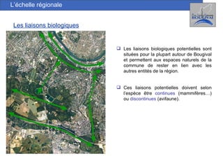 L’échelle régionale Les liaisons biologiques Les liaisons biologiques potentielles sont situées pour la plupart autour de Bougival et permettent aux espaces naturels de la commune de rester en lien avec les autres entités de la région. Ces liaisons potentielles doivent selon l’espèce être  continues  (mammifères…) ou  discontinues  (avifaune). 