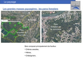 Les grandes masses paysagères : les parcs forestiers Le paysage Parc forestier de la Jonchère Parc forestier du Cormier Bougival Bois composé principalement de feuillus:  Chênes sessiles,  Hêtres,  Châtaigniers. 