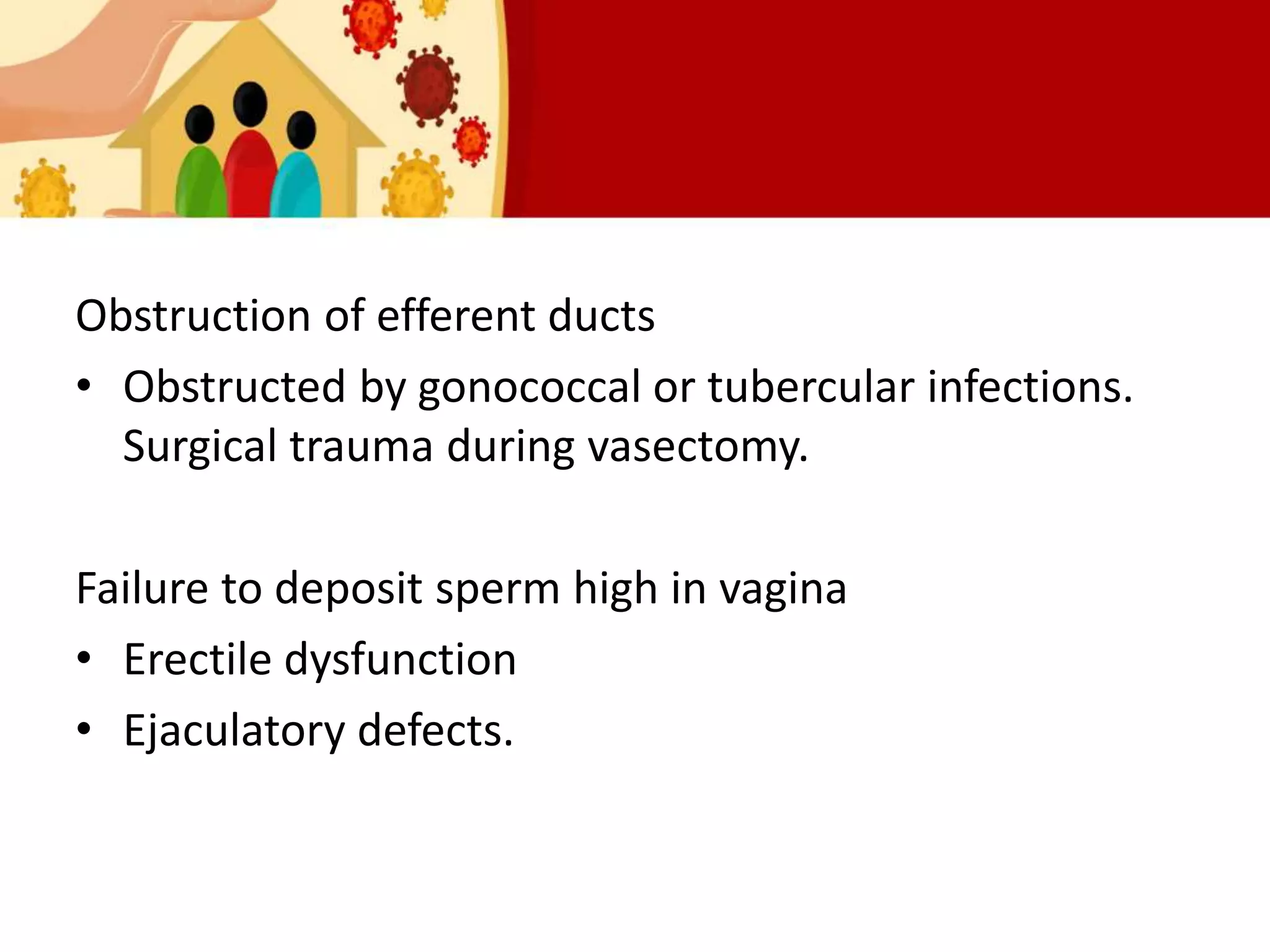 Obstruction of efferent ducts
• Obstructed by gonococcal or tubercular infections.
Surgical trauma during vasectomy.
Failure to deposit sperm high in vagina
• Erectile dysfunction
• Ejaculatory defects.
 
