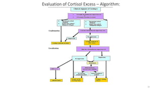 Dynamic Function Test Examples Diagnostic procedures and dynamic tests | PPTX