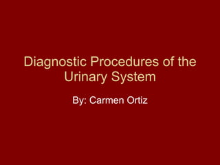 Diagnostic Procedures of the Urinary System By: Carmen Ortiz 