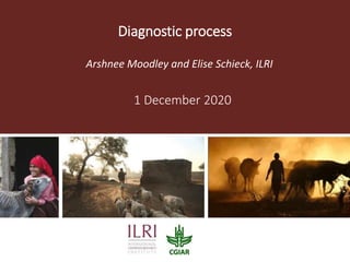 Diagnostic process
Arshnee Moodley and Elise Schieck, ILRI
1 December 2020
 