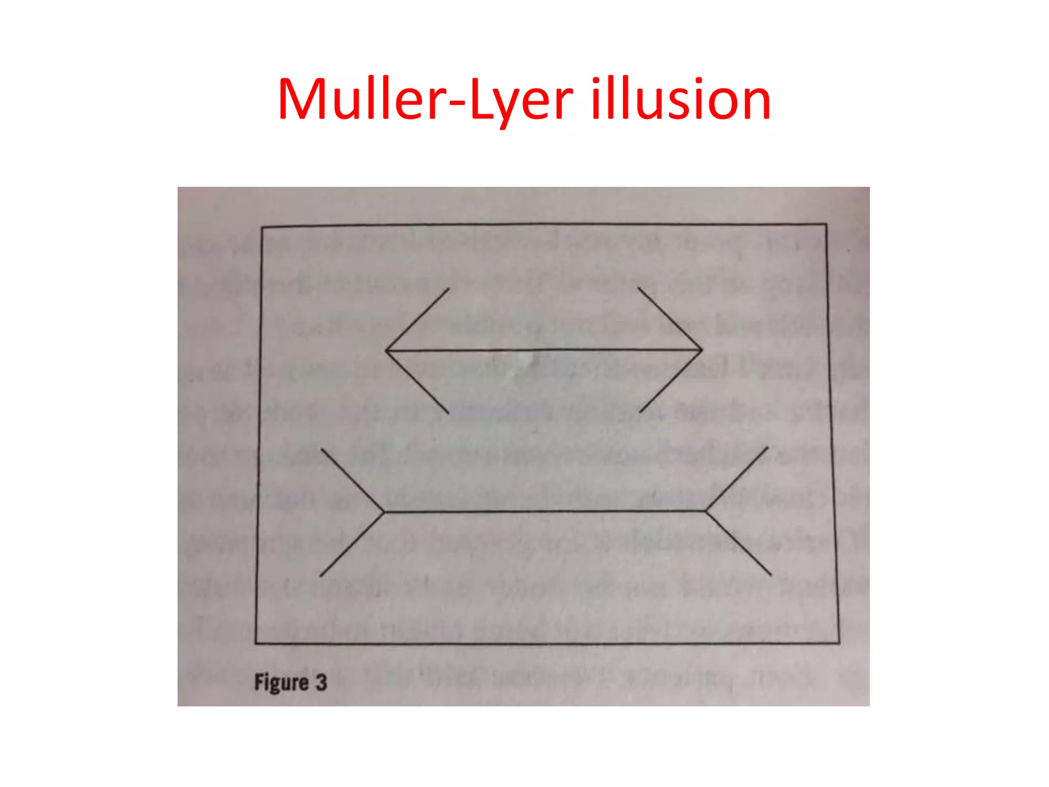 Muller-Lyer illusion
 