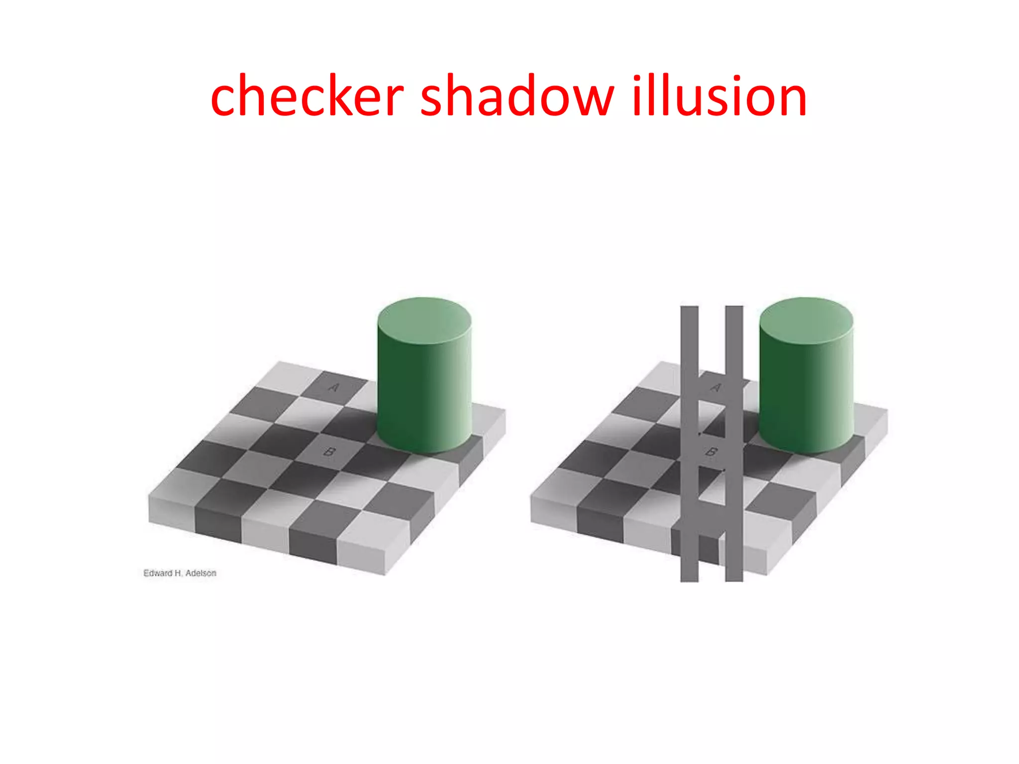 checker shadow illusion
 