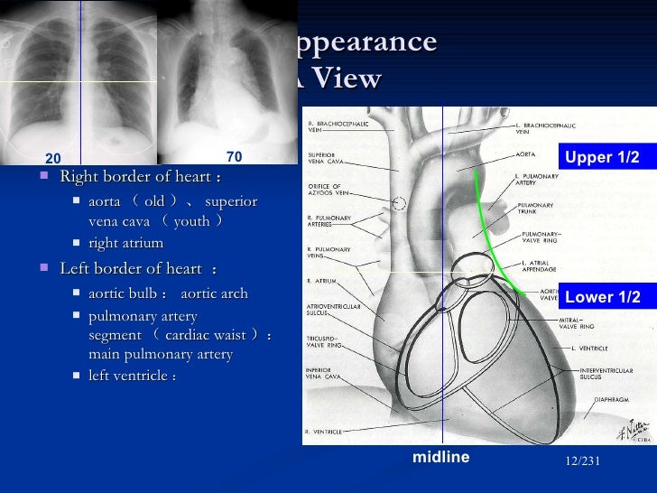 Diagnostic radiology of cardiovascular 2009