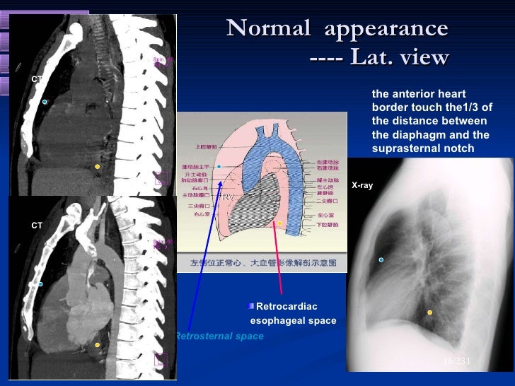 Diagnostic radiology of cardiovascular 2009