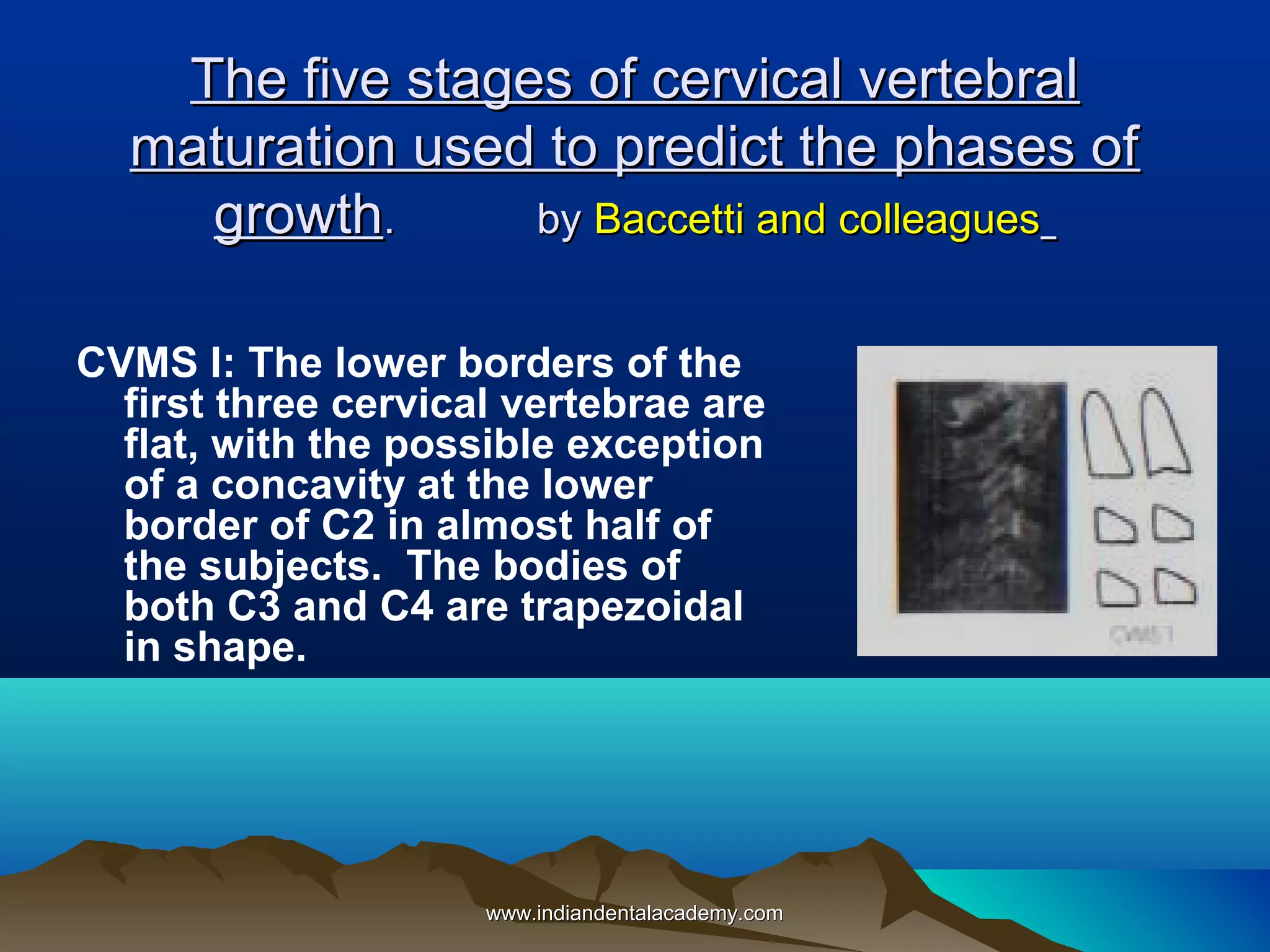 The five stages of cervical vertebral
maturation used to predict the phases of
growth.
by Baccetti and colleagues
CVMS I: The lower borders of the
first three cervical vertebrae are
flat, with the possible exception
of a concavity at the lower
border of C2 in almost half of
the subjects. The bodies of
both C3 and C4 are trapezoidal
in shape.

www.indiandentalacademy.com

 