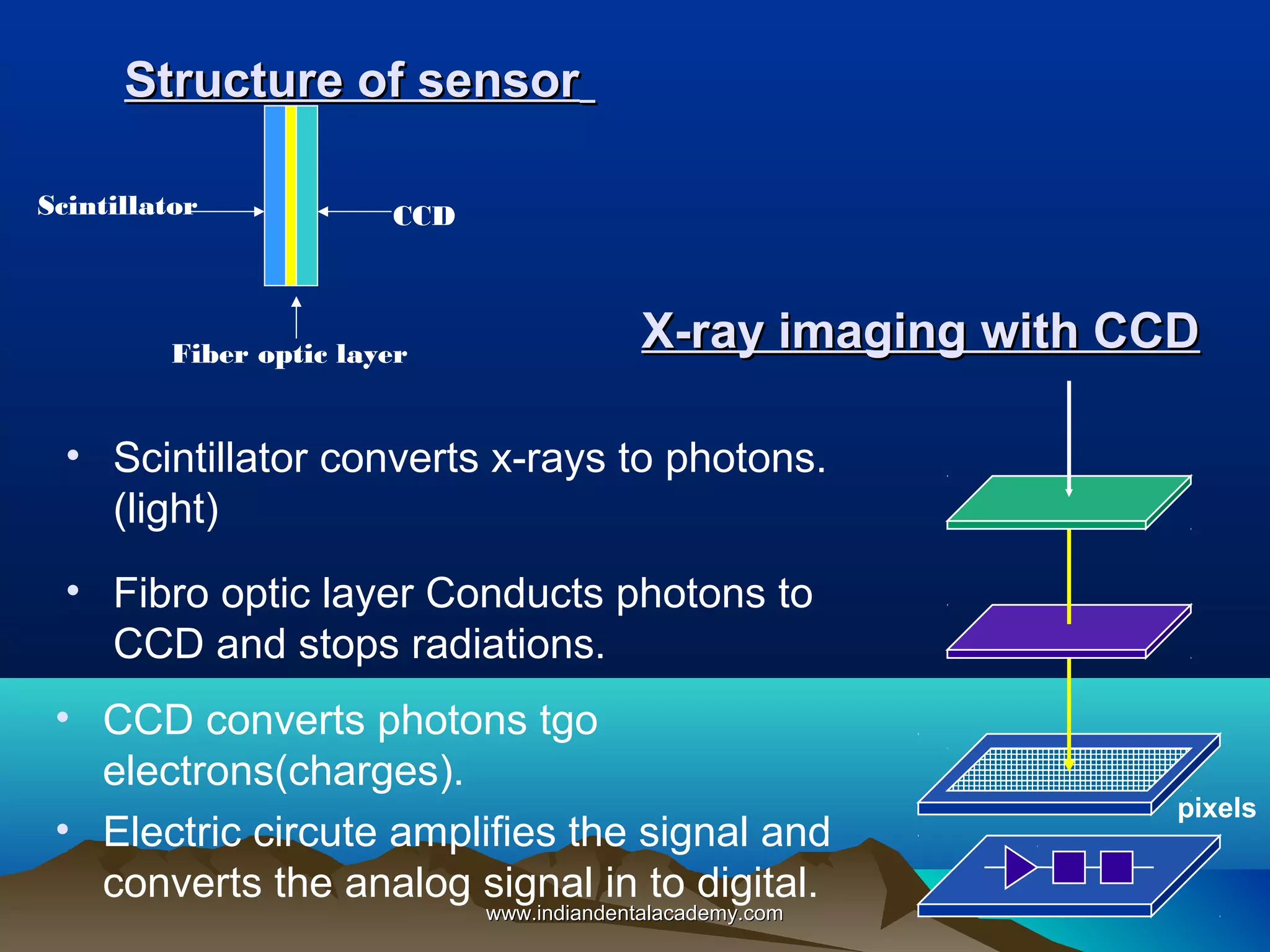 Structure of sensor
Scintillator

CCD

Fiber optic layer

X-ray imaging with CCD

• Scintillator converts x-rays to photons.
(light)
• Fibro optic layer Conducts photons to
CCD and stops radiations.
• CCD converts photons tgo
electrons(charges).
• Electric circute amplifies the signal and
converts the analog signal in to digital.
www.indiandentalacademy.com

pixels

 