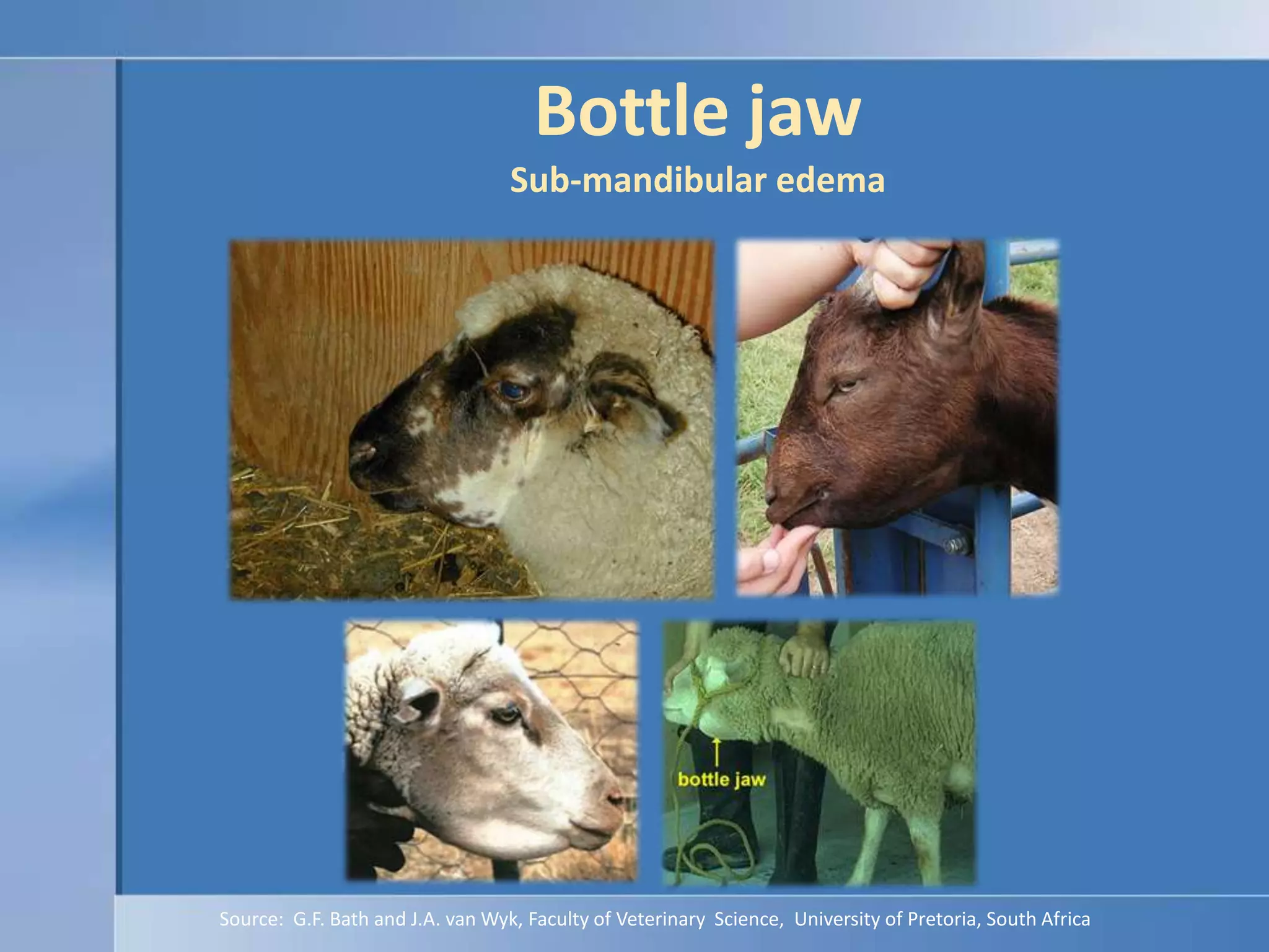 Bottle jawSub-mandibular edemaSource:  G.F. Bath and J.A. van Wyk, Faculty of Veterinary  Science,  University of Pretoria, South Africa