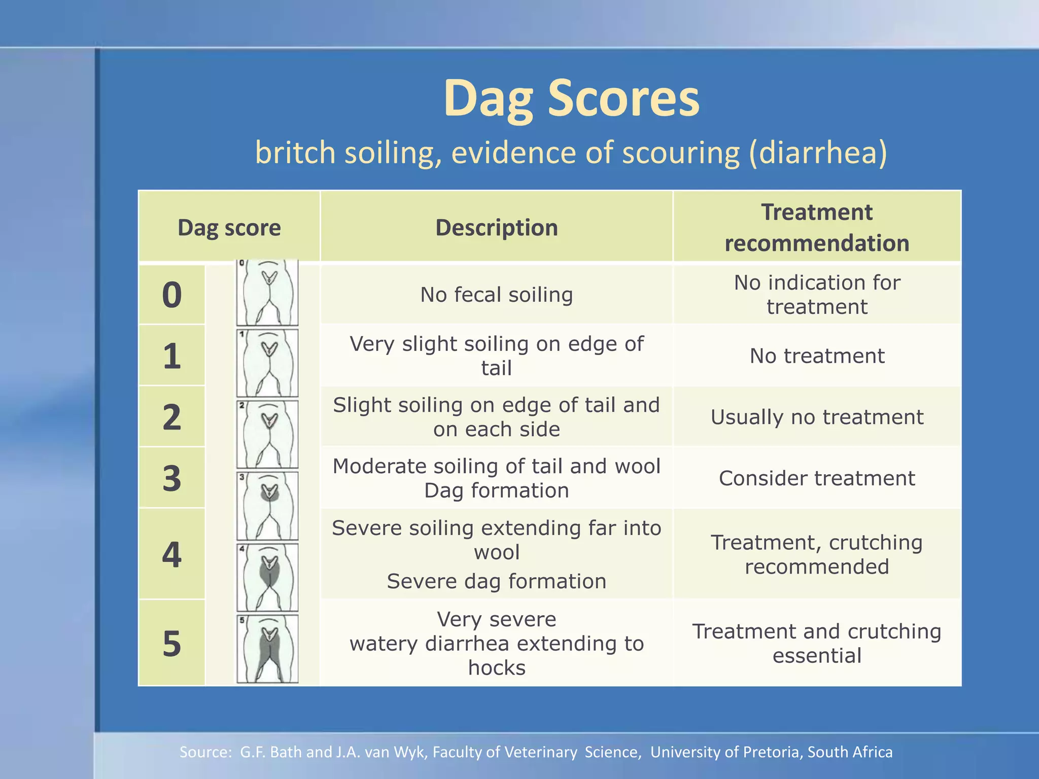 Dag Scoresbritch soiling, evidence of scouring (diarrhea)Source:  G.F. Bath and J.A. van Wyk, Faculty of Veterinary  Science,  University of Pretoria, South Africa