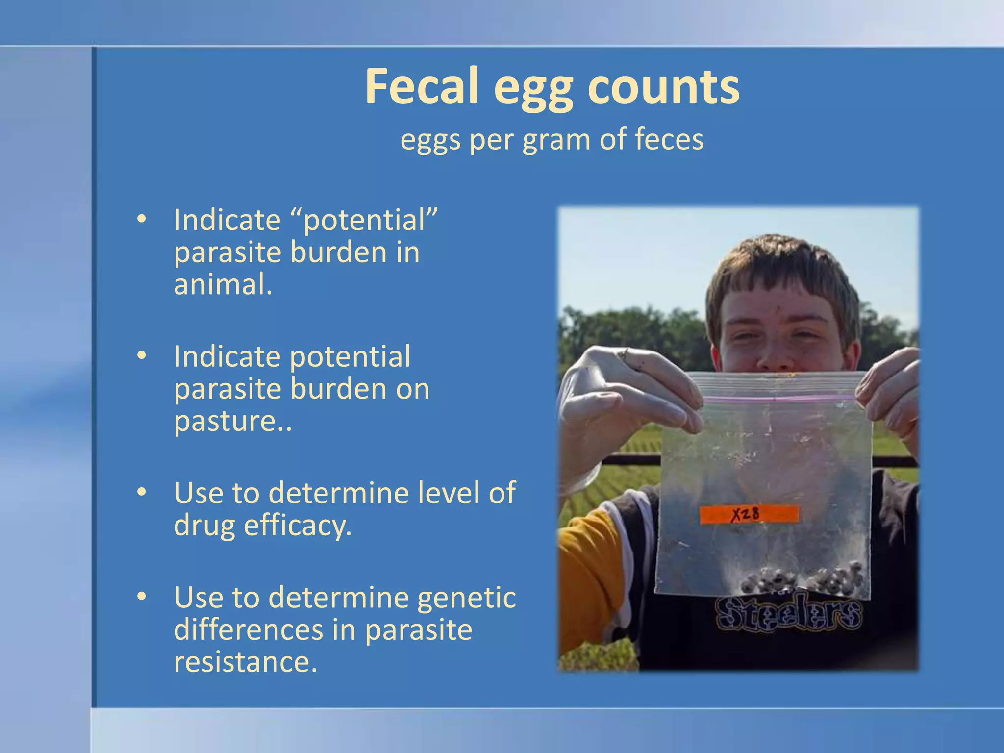 Fecal egg countseggs per gram of fecesIndicate “potential” parasite burden in animal.Indicate potential parasite burden on pasture..Use to determine level of drug efficacy.Use to determine genetic differences in parasite resistance.
