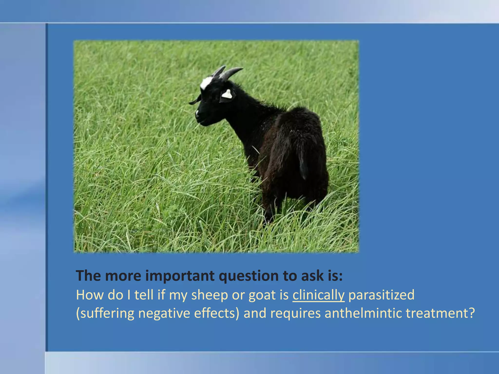 The more important question to ask is:How do I tell if my sheep or goat is clinically parasitized (suffering negative effects) and requires anthelmintic treatment?