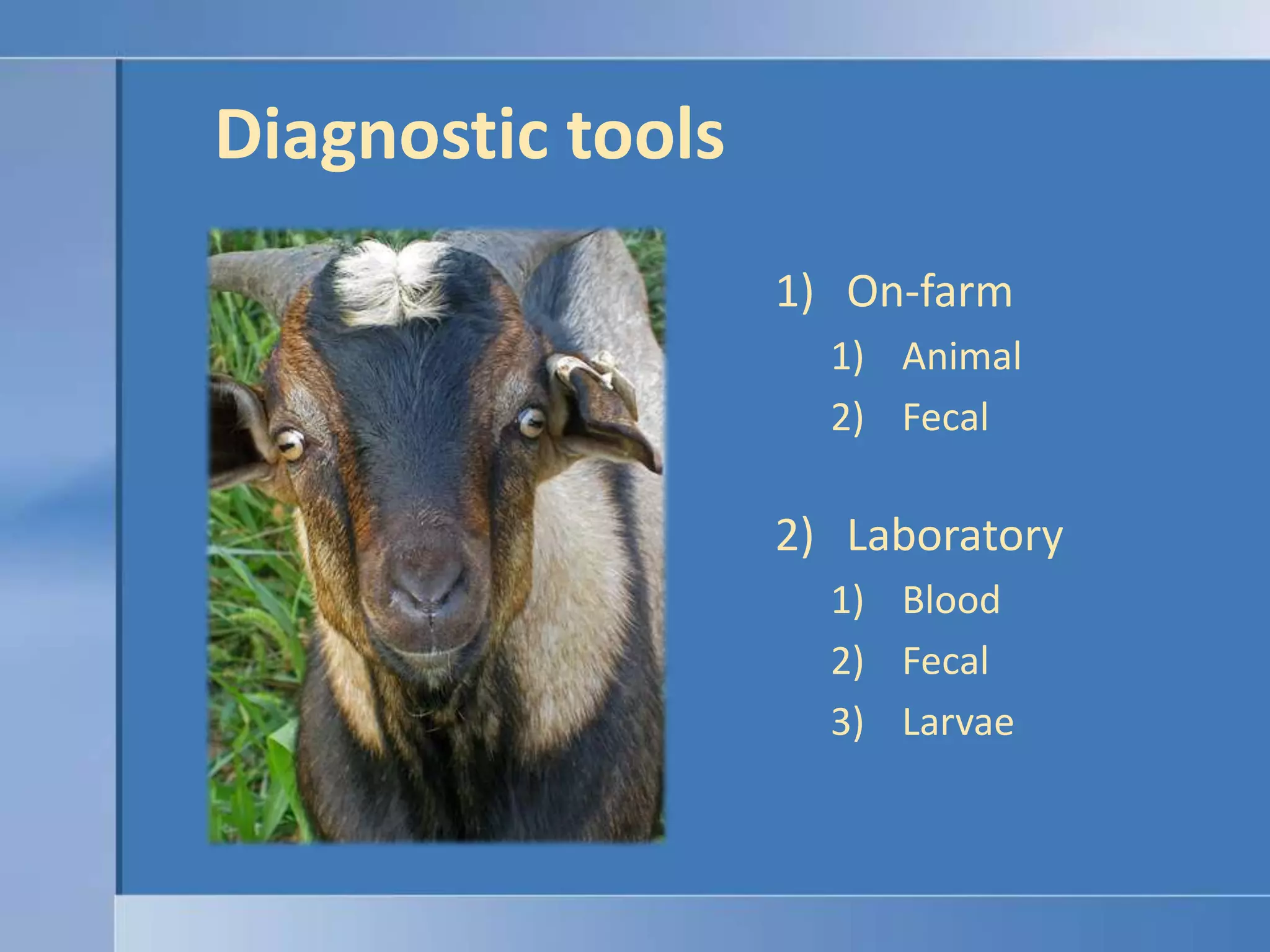 Diagnostic toolsOn-farmAnimalFecalLaboratoryBloodFecalLarvae