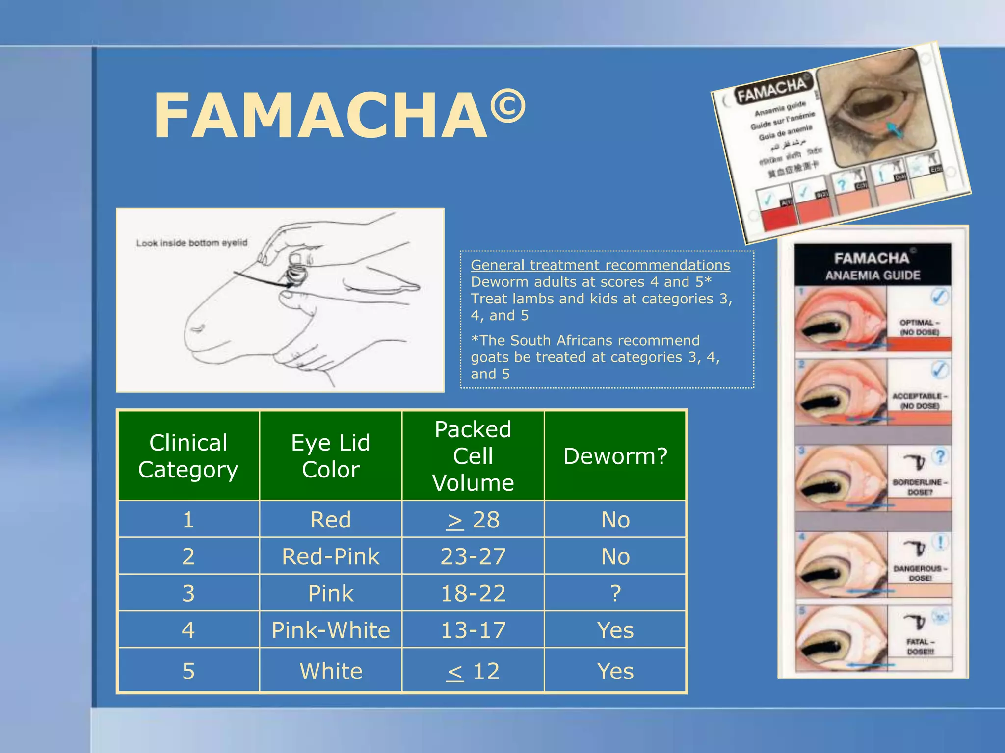 FAMACHA©General treatment recommendationsDeworm adults at scores 4 and 5*Treat lambs and kids at categories 3, 4, and 5*The South Africans recommend goats be treated at categories 3, 4, and 5