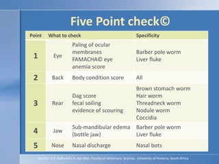 Worm diagnostics | PPTX