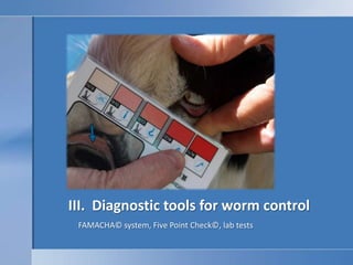III.  Diagnostic tools for worm control FAMACHA© system, Five Point Check©, lab tests 