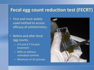Fecal egg count reduction test (FECRT)<br />First and most widely used method to access efficacy of anthelmintics.<br />Be...