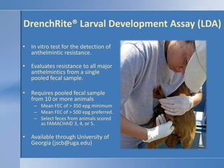 DrenchRite® Larval Development Assay (LDA)<br />In vitro test for the detection of anthelmintic resistance.<br />Evaluates...