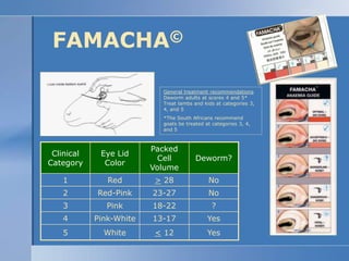 FAMACHA©<br />General treatment recommendationsDeworm adults at scores 4 and 5*Treat lambs and kids at categories 3, 4, an...
