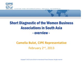 Short Diagnostic of the Women Business
       Associations in South Asia
              - overview -

   Camelia Bulat, CIPE Representative
                      February 2nd, 2013


      Copyright © 2012 by the Center for International Private Enterprise. All rights reserved
 