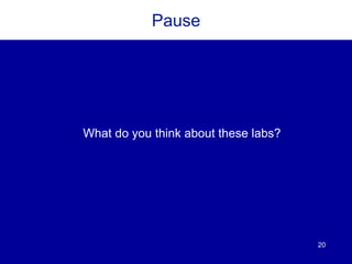 20
Pause
What do you think about these labs?
 
