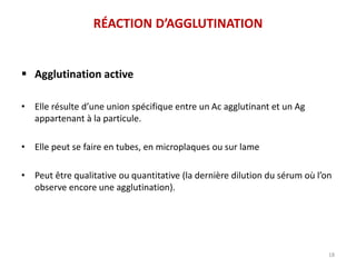 Agglutination active
• Elle résulte d’une union spécifique entre un Ac agglutinant et un Ag
appartenant à la particule.
• Elle peut se faire en tubes, en microplaques ou sur lame
• Peut être qualitative ou quantitative (la dernière dilution du sérum où l’on
observe encore une agglutination).
18
RÉACTION D’AGGLUTINATION
 