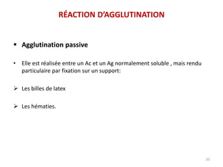  Agglutination passive
• Elle est réalisée entre un Ac et un Ag normalement soluble , mais rendu
particulaire par fixation sur un support:
 Les billes de latex
 Les hématies.
20
RÉACTION D’AGGLUTINATION
 