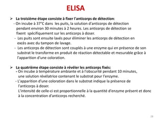 La troisième étape consiste à fixer l'anticorps de détection:
- On incube à 37°C dans les puits, la solution d'anticorps de détection
pendant environ 30 minutes à 2 heures. Les anticorps de détection se
fixent spécifiquement sur les anticorps à doser.
- Les puits sont ensuite lavés pour éliminer les anticorps de détection en
excès avec du tampon de lavage.
- Les anticorps de détection sont couplés à une enzyme qui en présence de son
substrat le transforme en produit de réaction détectable et mesurable grâce à
l'apparition d'une coloration.
 La quatrième étape consiste à révéler les anticorps fixés:
- On incube à température ambiante et à l'obscurité pendant 10 minutes,
une solution révélatrice contenant le substrat pour l'enzyme.
- L'apparition d'une coloration dans le substrat indique la présence de
l'anticorps à doser.
L'intensité de celle-ci est proportionnelle à la quantité d'enzyme présent et donc
à la concentration d'anticorps recherché.
28
ELISA
 