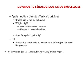 – Agglutination directe : Tests de criblage
• Brucellose aigue ou subaigue
• Wright : IgM
– Seule technique standardisée
– Négative en phase chronique
• Rose Bengale : IgM et IgG
– IFI
• Brucellose chronique ou ancienne avec Wright - et Rose
Bengale +/-
• Confirmation par LNR ( Institut Pasteur Dely Brahim Alger).
DIAGNOSTIC SÉROLOGIQUE DE LA BRUCELLOSE
 