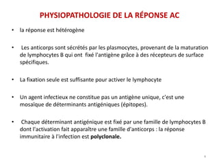 PHYSIOPATHOLOGIE DE LA RÉPONSE AC
• la réponse est hétérogène
• Les anticorps sont sécrétés par les plasmocytes, provenant de la maturation
de lymphocytes B qui ont fixé l'antigène grâce à des récepteurs de surface
spécifiques.
• La fixation seule est suffisante pour activer le lymphocyte
• Un agent infectieux ne constitue pas un antigène unique, c'est une
mosaïque de déterminants antigéniques (épitopes).
• Chaque déterminant antigénique est fixé par une famille de lymphocytes B
dont l'activation fait apparaître une famille d'anticorps : la réponse
immunitaire à l'infection est polyclonale.
4
 